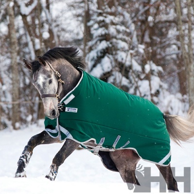 Cavalo com manta verde em paisagem de neve