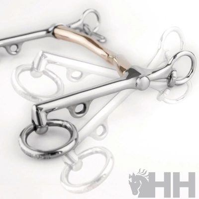 Embocaduras de metal para equitação com acabamento prateado e dourado