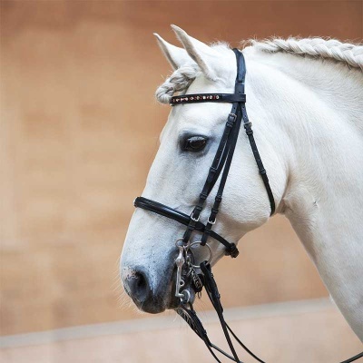 Cavalo branco com rédea preta e crina entrelaçada