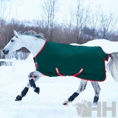 Cavalo cinzento com manta verde e bordas vermelhas na neve