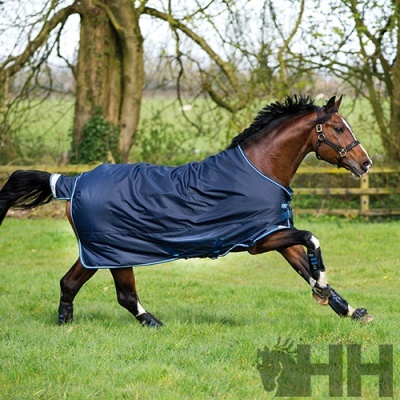 Cavalo castanho com cobertura azul escura a correr num campo verde