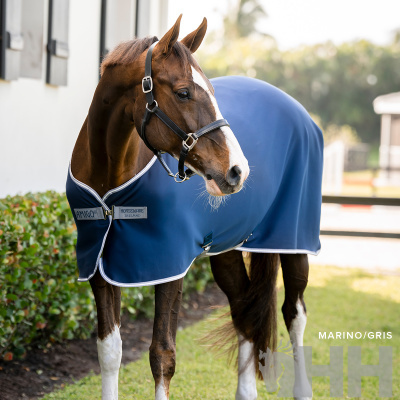 Cavalo com manta azul e etiquetas AMIGO e HORSEWARE IRELAND