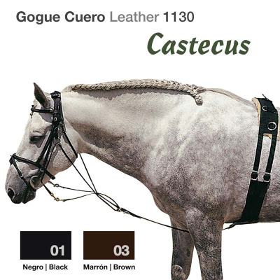 Cavalo cinza com arreio de couro preto e texto de produto