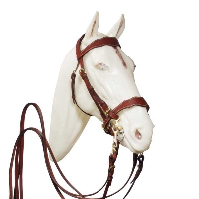 Cabeça de cavalo branco com cabresto e rédeas em pele castanha