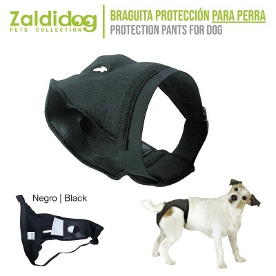 Braguita preta de proteção para cadela com fechos ajustáveis e cão branco usando a braguita