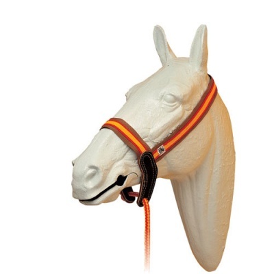 Cabeça de cavalo com cabresto laranja, vermelho e castanho