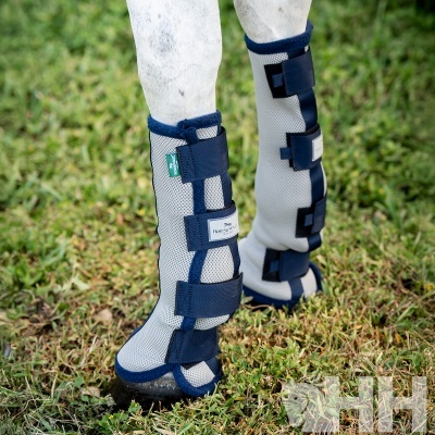 Pernas de cavalo com protetores azuis e cinzentos, fixados com tiras de velcro sobre relva