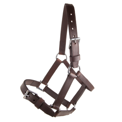 Cabresto em couro castanho para cavalo com fivelas metálicas