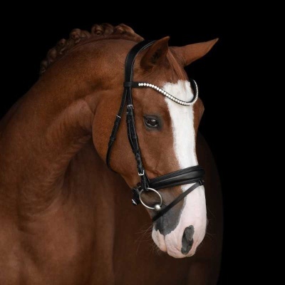 Cavalo castanho com venda de cabedal preta decorada com cristais