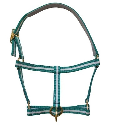 Cabresto para cavalo em nylon verde com riscas brancas e fechos metálicos dourados