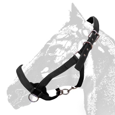 Cabresto de cavalo preto com fivelas metálicas num fundo branco