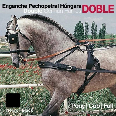 Cavalo cinzento com arreio preto, texto promocional ao fundo.