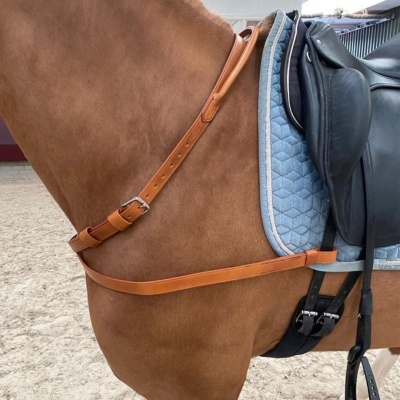 Cavalo castanho com sela preta, alforje azul claro e correias de couro.