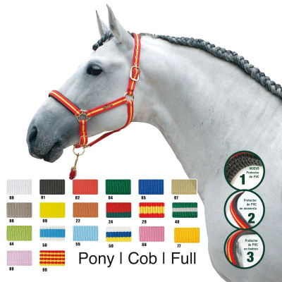Cabresto vermelho e amarelo em cavalo branco com crina trançada