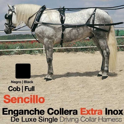 Cavalo cinza com arreios pretos e aço inoxidável em ambiente exterior arenoso
