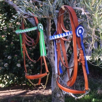 Duas rédeas de couro castanho com decorações verde e azul penduradas numa árvore