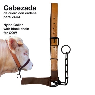 Cabeçada de couro com corrente preta para vaca com correia de nylon castanha