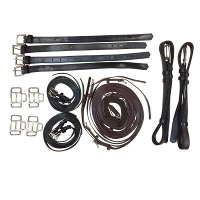 Conjunto de acessórios para equitação em couro e metal sobre fundo branco