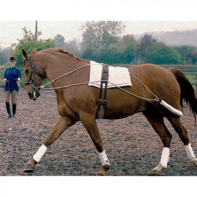 Cavalo castanho com arreio e proteção branca nas patas em terreno de treino