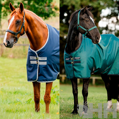 Dois cavalos com mantas AMIGO HORSEWARE ao ar livre numa área verde