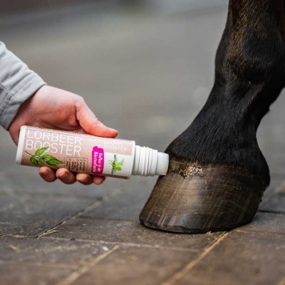Aplicação de produto em casco de cavalo com embalagem LORBEER BOOSTER