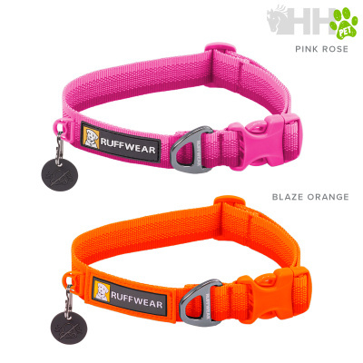 Duas coleiras para cães em nylon, uma rosa e outra laranja, com fecho plástico, argola metálica e pendente redondo preto.