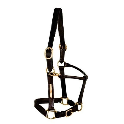 Cabresto de cavalo preto em couro com fivelas douradas