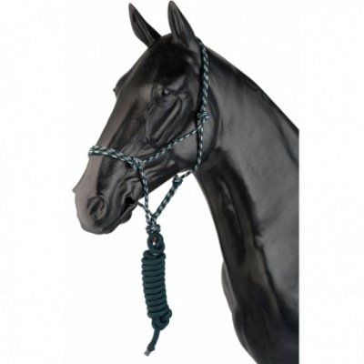 Cabeça de cavalo com cabresto e guia azul escuro e branco