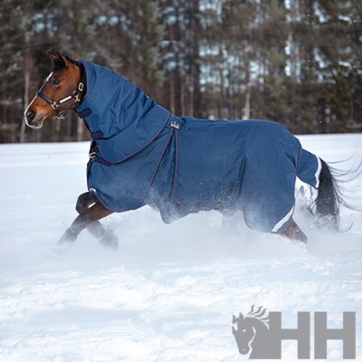 Cavalo com manta azul escura na neve