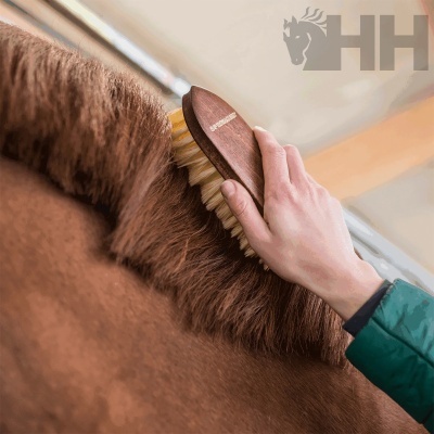 Escova de madeira a escovar pelo de cavalo castanho