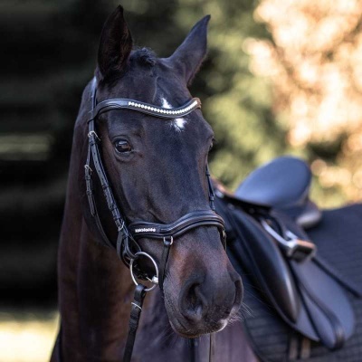 Cavalo preto com sela preta e bridão de couro decorado com pedras brilhantes