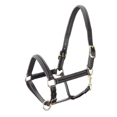 Cabresto de couro preto para cavalo com fivelas douradas