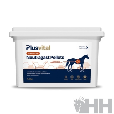 Recipiente branco de 4,5 kg com pellets Neutragast Plusvital para cavalos