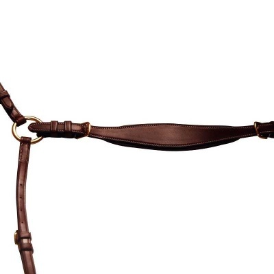 Correia de couro castanho com argolas metálicas douradas