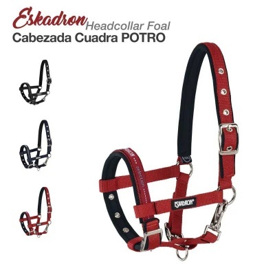 Cabrestos para potro Eskadron em várias cores com design acolchoado e fivelas metálicas