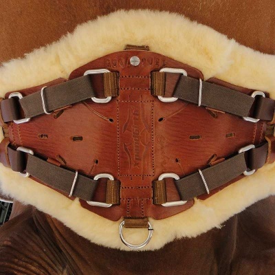 Cinto de equitação castanho com interior em pele e fivelas prateadas
