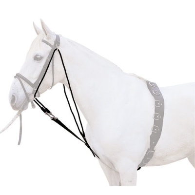 Cavalo branco com peitoral castanho escuro e rédeas pretas