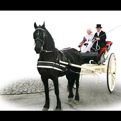 Carruagem branca com cavalo preto e duas pessoas vestidas a rigor