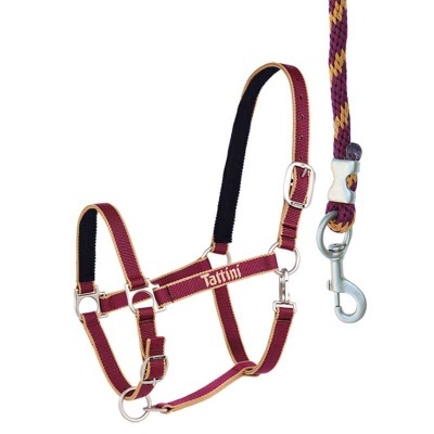 Cabresto e trela para cavalo bordeaux com detalhes em bege, preto e amarelo, com fechos metálicos prateados e marca Tattini