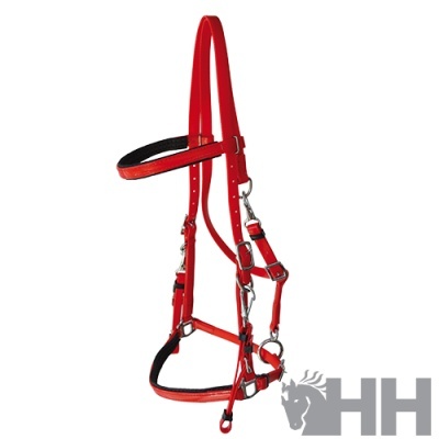 Cabresto vermelho para cavalo com fivelas metálicas prateadas