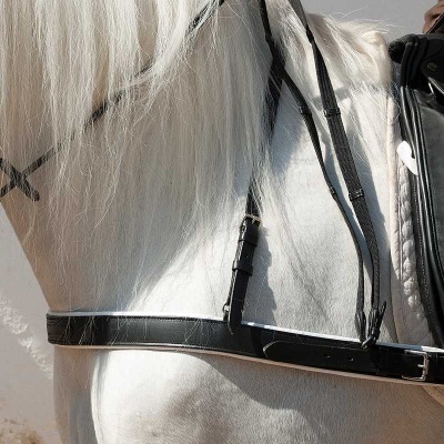 Cavalo branco com arreio e sela pretos em couro