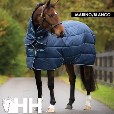 Cavalo com manta acolchoada azul-marinho e branco em estrada exterior