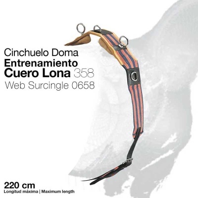 Cinchuelo Doma de couro e lona com padrão às riscas em fundo branco e silhueta cinza de cavalo