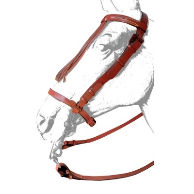 Cabresto e rédeas castanhas em cavalo branco