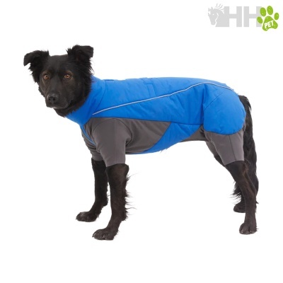 Cão com casaco azul e cinzento acolchoado