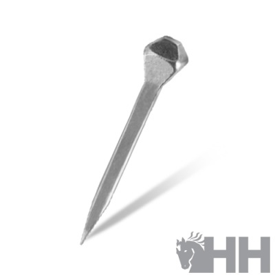 Prego metálico com cabeça hexagonal prateada sobre fundo branco