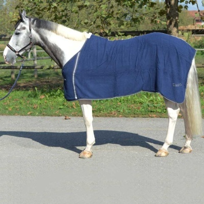 Cavalo com manta azul escura bordada com Daslö