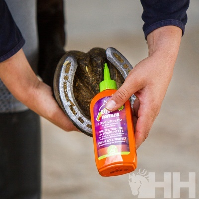 Produto ecológico para proteção do casco do cavalo junto ao casco com ferradura