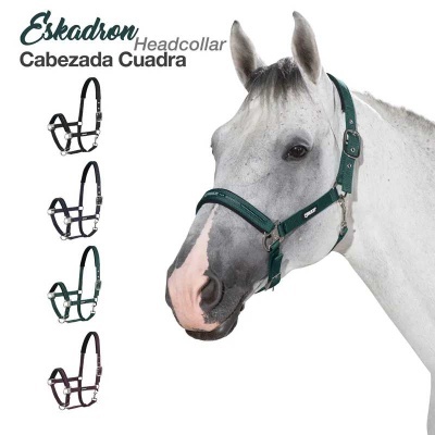 Cabeçada quadrada Eskadron em várias cores num cavalo branco