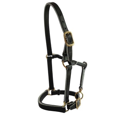 Cabresto preto de couro com fivelas douradas